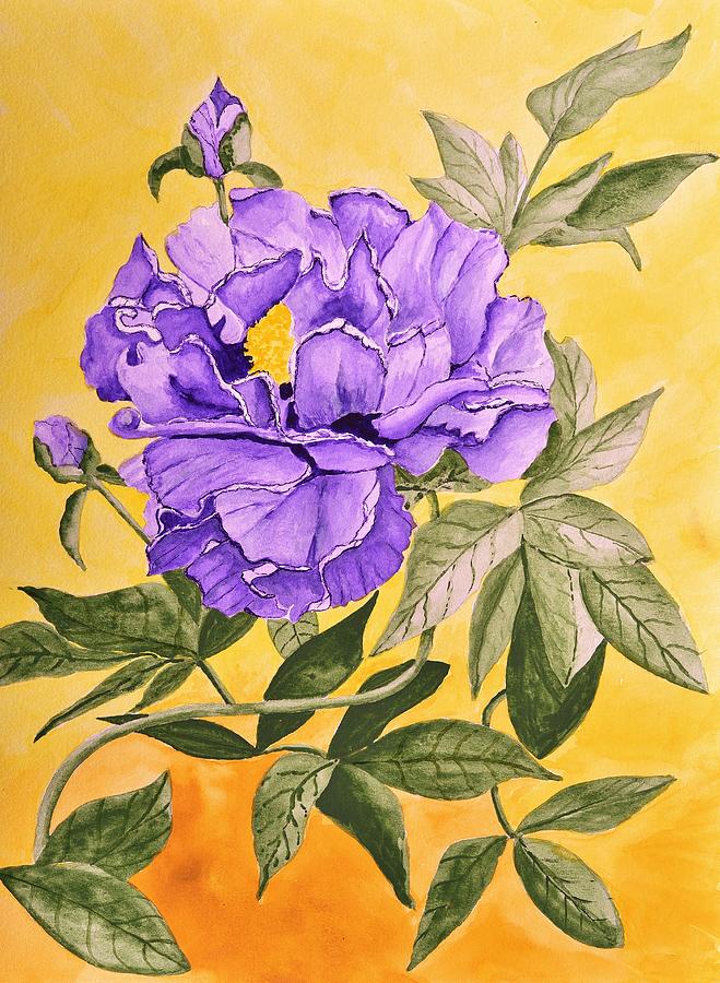 Purple Peony Painting by Linda Brody