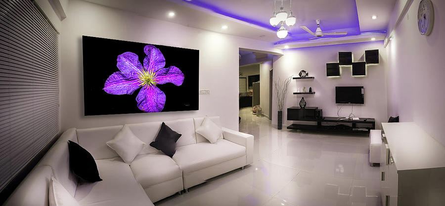 Purple Petals in Room Photograph by Bill Posner