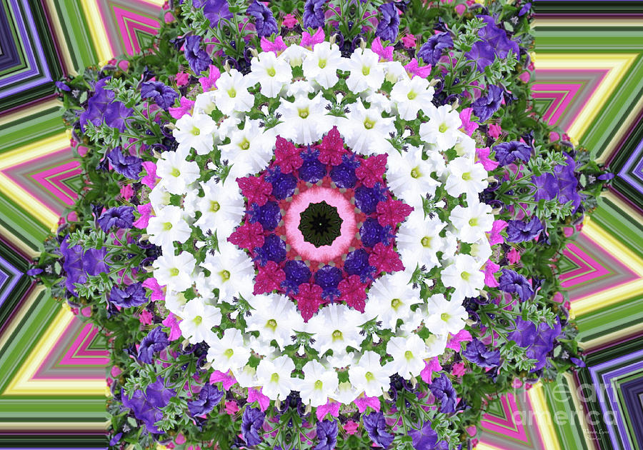 Flower Photograph - Purple Petunias by Wanda-Lynn Searles