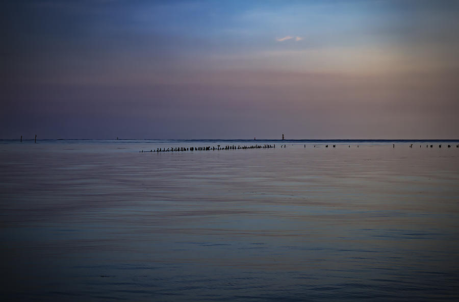 Purple Pilings Photograph by Mike Harlan - Pixels