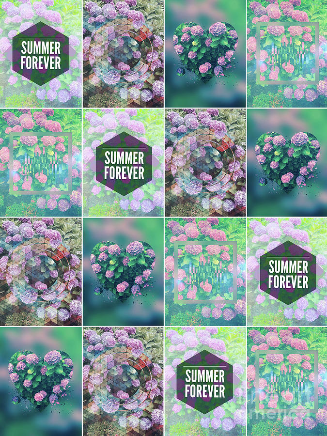 Purple Pink Hydrangea Geometric Patchwork Quilt Photograph by Beverly Claire Kaiya