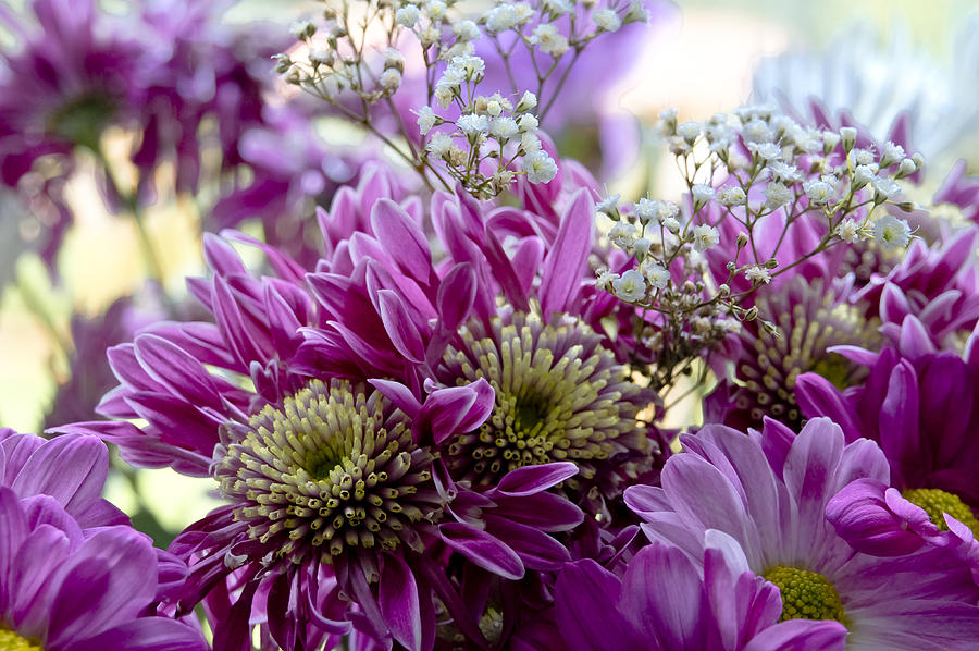 Purple Pink Yellow and White Bouquet. Photograph by Elena Perelman