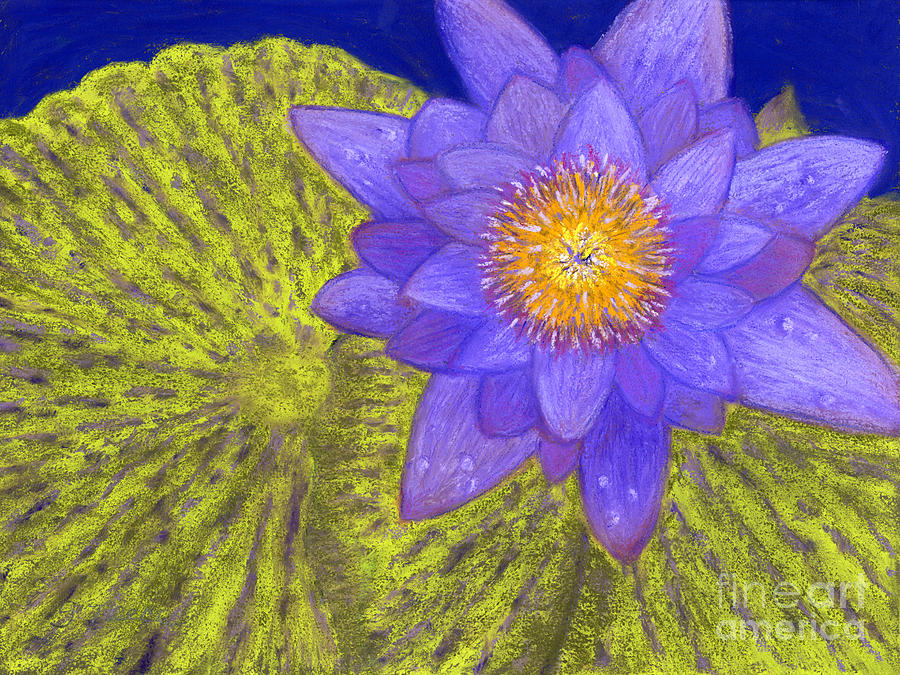 Purple Pond Lily Painting by Ginny Neece