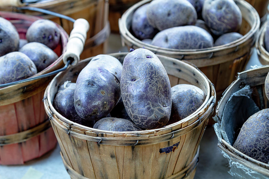 Purple Potatoes Photograph by Teri Virbickis