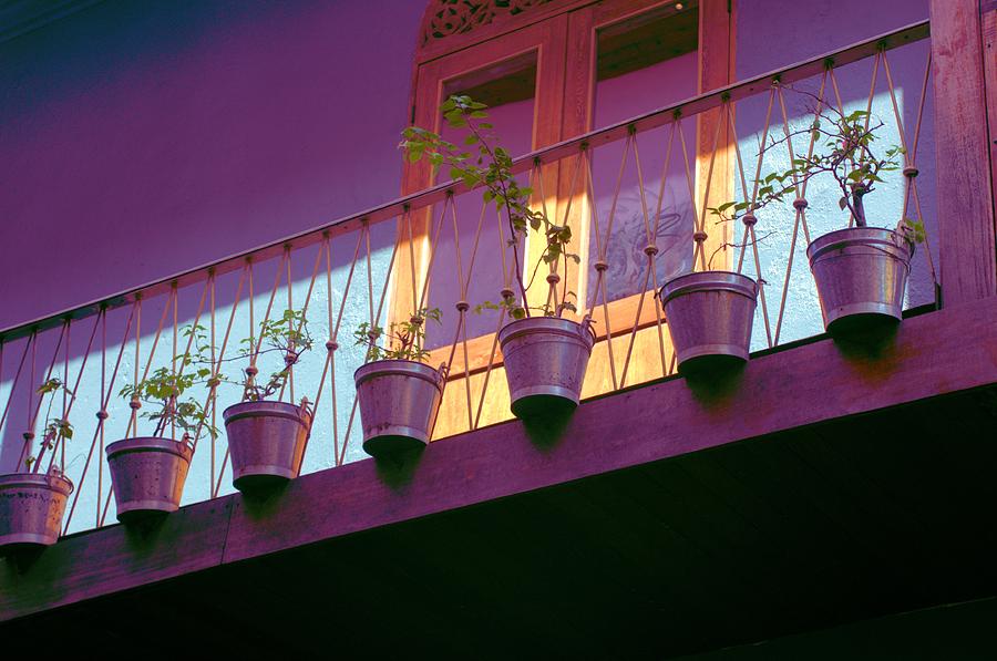 Purple Pots Photograph by Douglas Pike