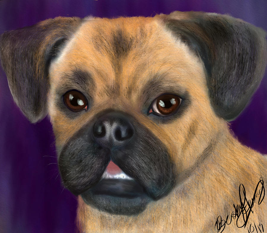 Purple Pug Portrait Painting by Becky Herrera