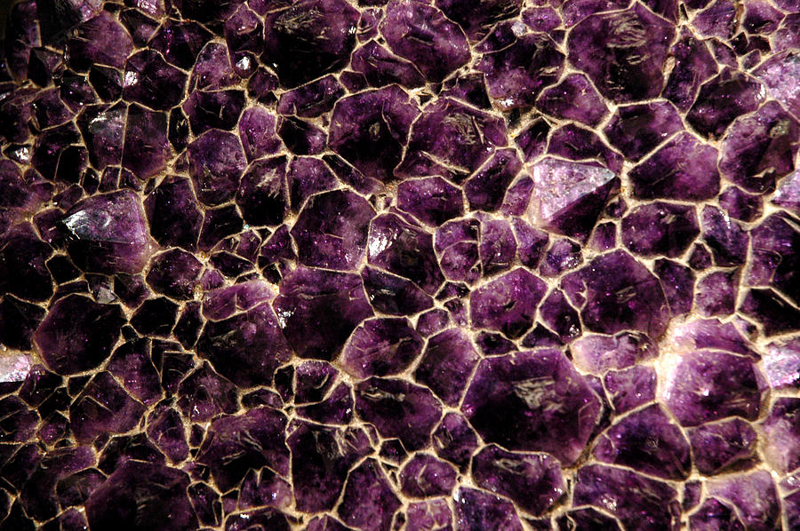 Purple Quartz  Amethyst Photograph by LeeAnn McLaneGoetz McLaneGoetzStudioLLCcom