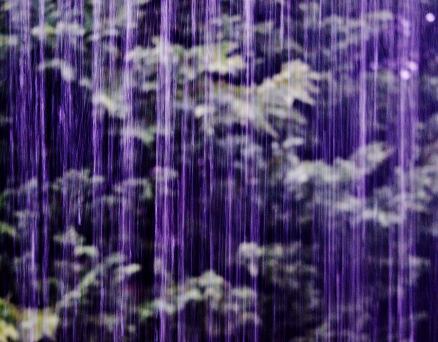 Purple Rain Photograph by Eileen Brymer