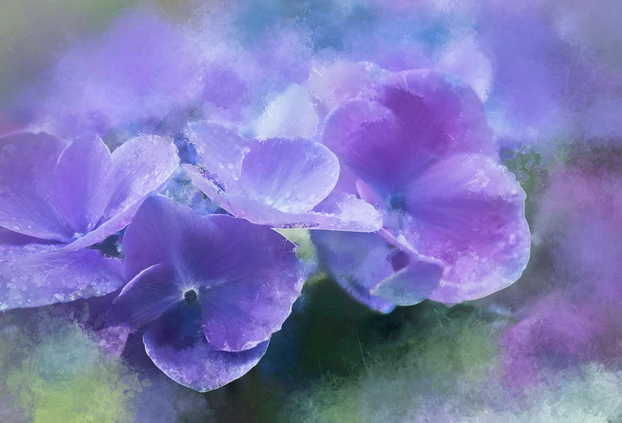 Purple Hydrangeas Digital Art by Terry Davis