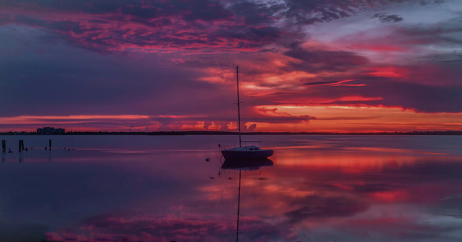 Dunedin Marina Photograph - Purple Rain by Todd Rogers Dunedin Marina Photograph - Purple Rain by Todd Rogers