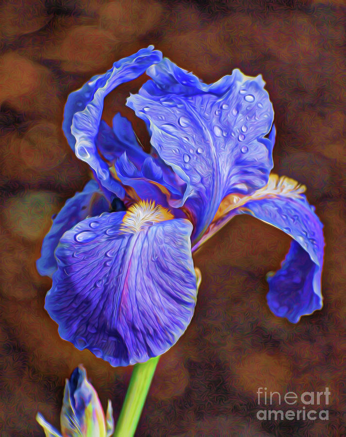 Purple Rain Photograph by Vivian Martin