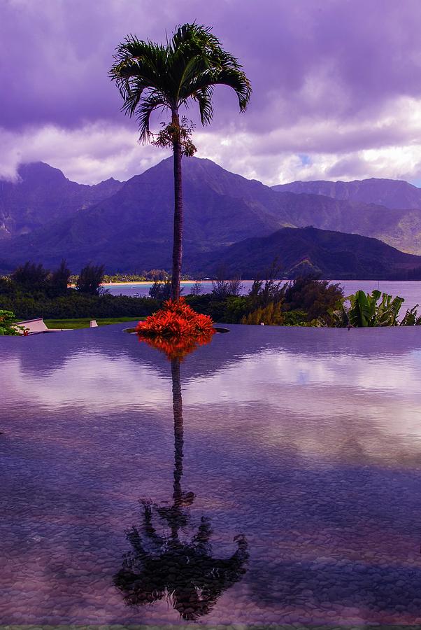 Purple Reflections in Princeville Photograph by Lynn Bauer