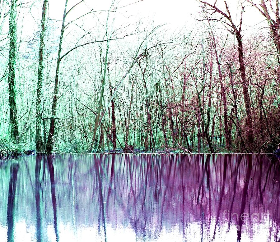 Purple Reflections Digital Art by Patty Vicknair