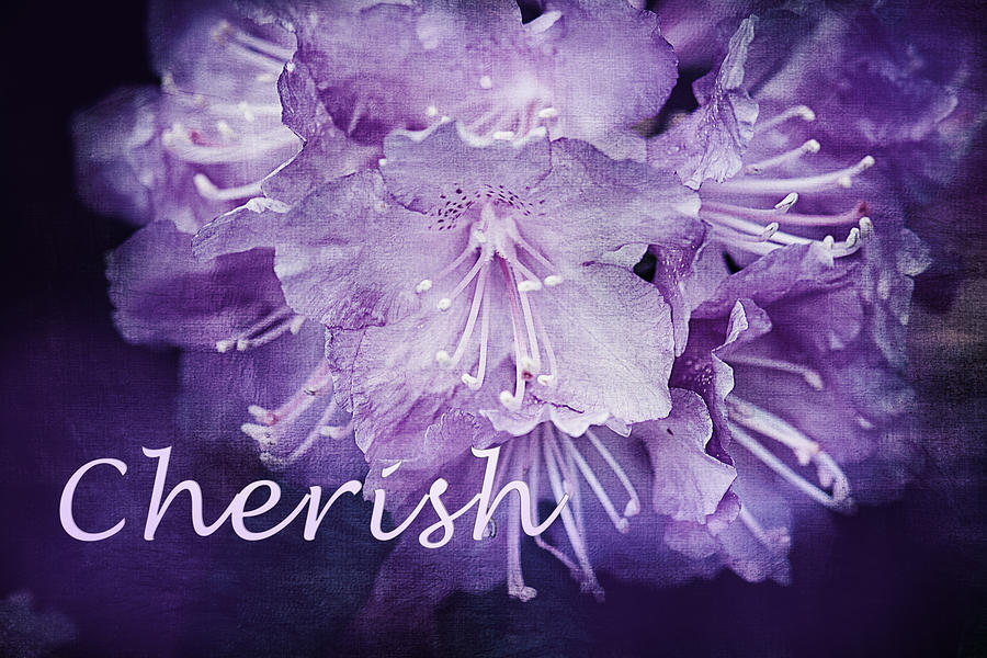 Purple Rhododendron Inspirational Print Photograph by Gwen Gibson