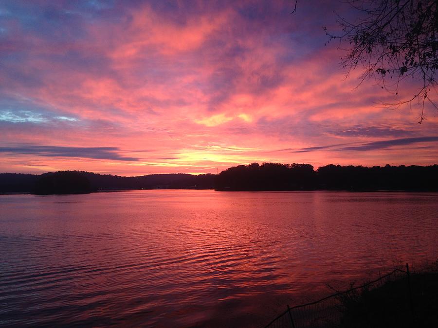 Purple River Photograph by Julie Rodriguez | Pixels