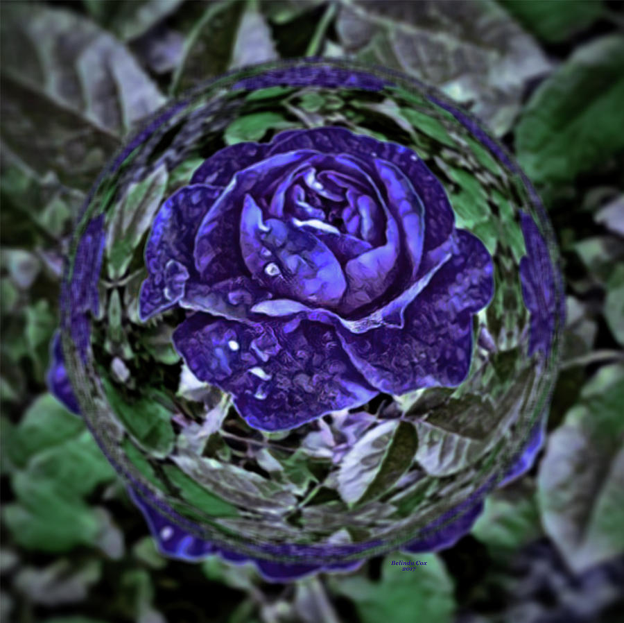Purple Rose in a Bubble Digital Art by Artful Oasis