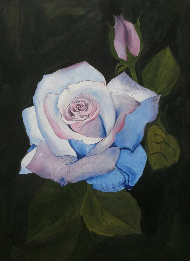 Beautiful Rose Painting - Glow of rose by Pushpa Sharma