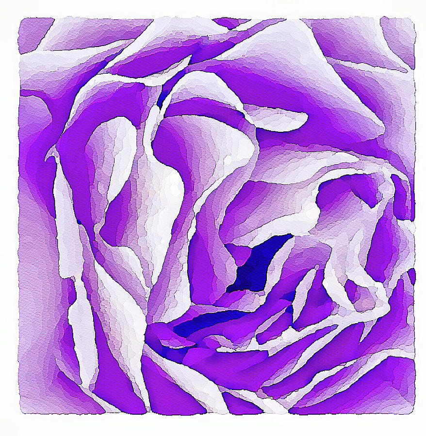 Purple Rose Mixed Media by Toni Somes