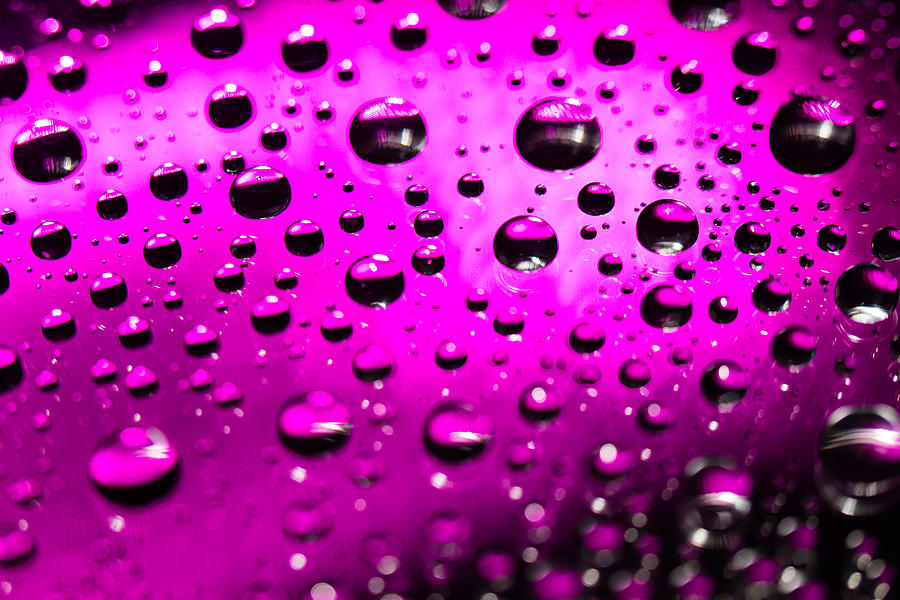Purple Rush Photograph by SR Green