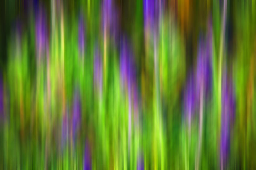 Purple Sage Digital Abstracts Motion Blur Photograph by Rich Franco
