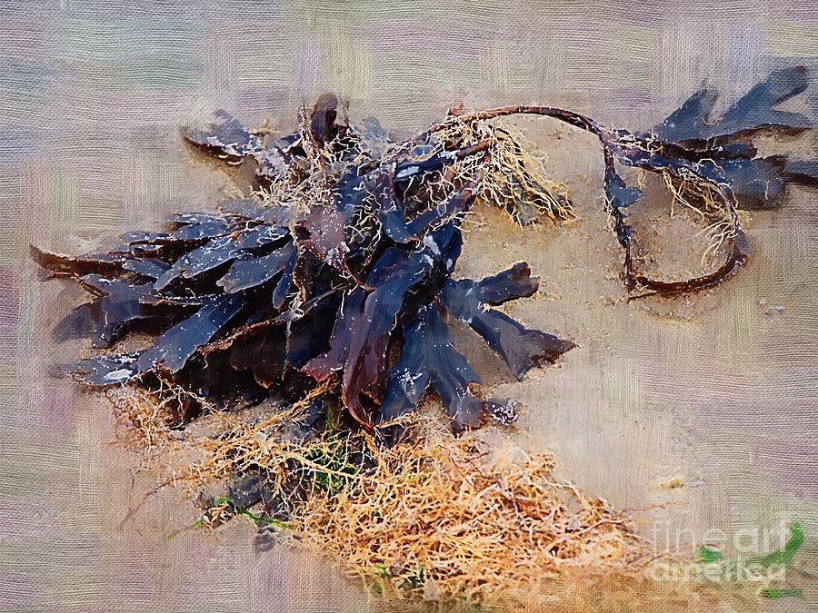 Seaweed Painting - Purple Seaweed by Deborah Selib-Haig