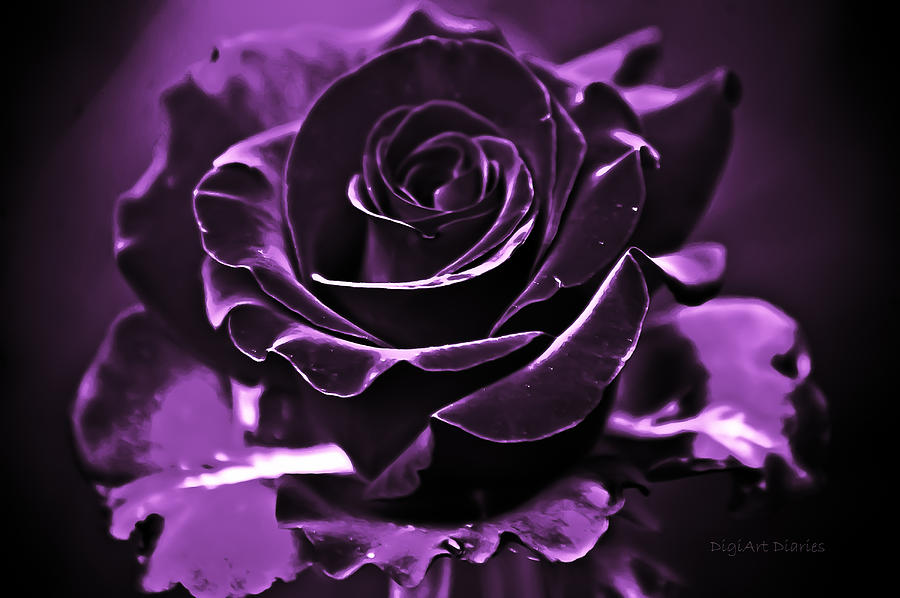 Pink Neon Rose by DigiArt Diaries by Vicky B Fuller