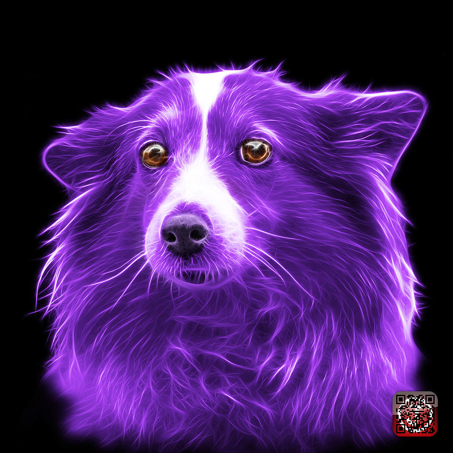 Dog Mixed Media - Purple Shetland Sheepdog Dog Art 9973 - BB by James Ahn