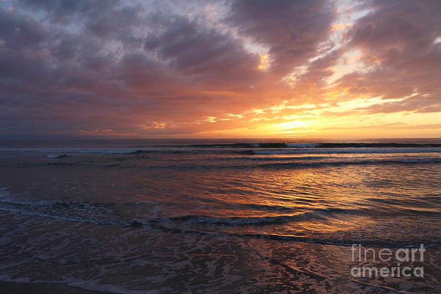 Seascape Photograph - Purple Skies by Maria Pogoda Seascape Photograph - Purple Skies by Maria Pogoda