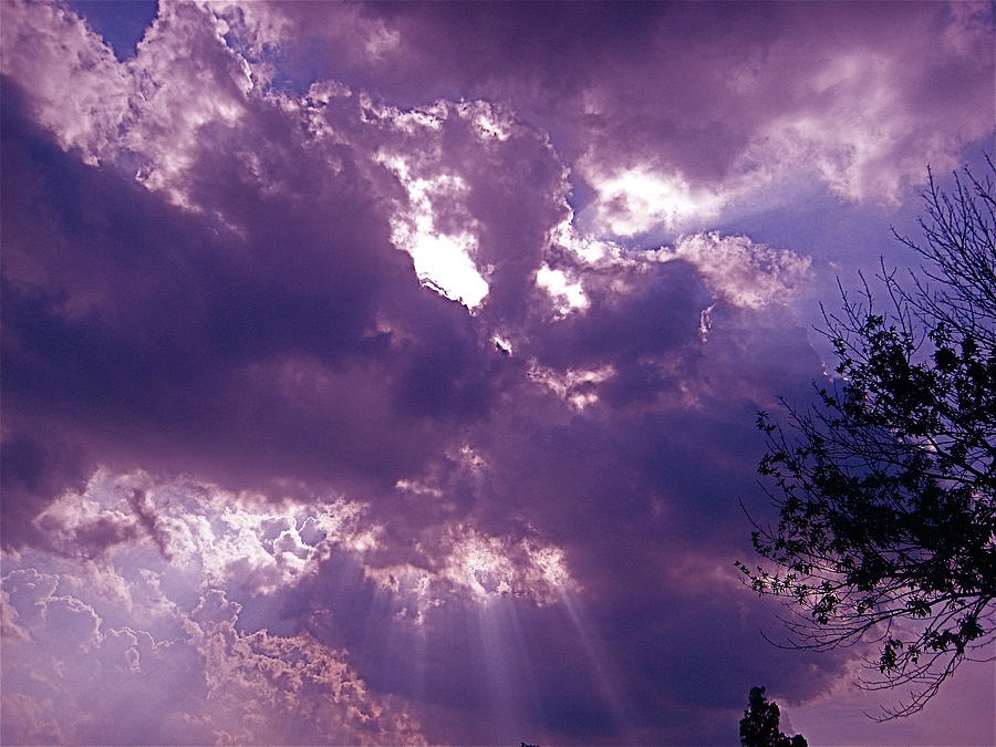 Purple Skies Photograph by Nola Starr | Fine Art America