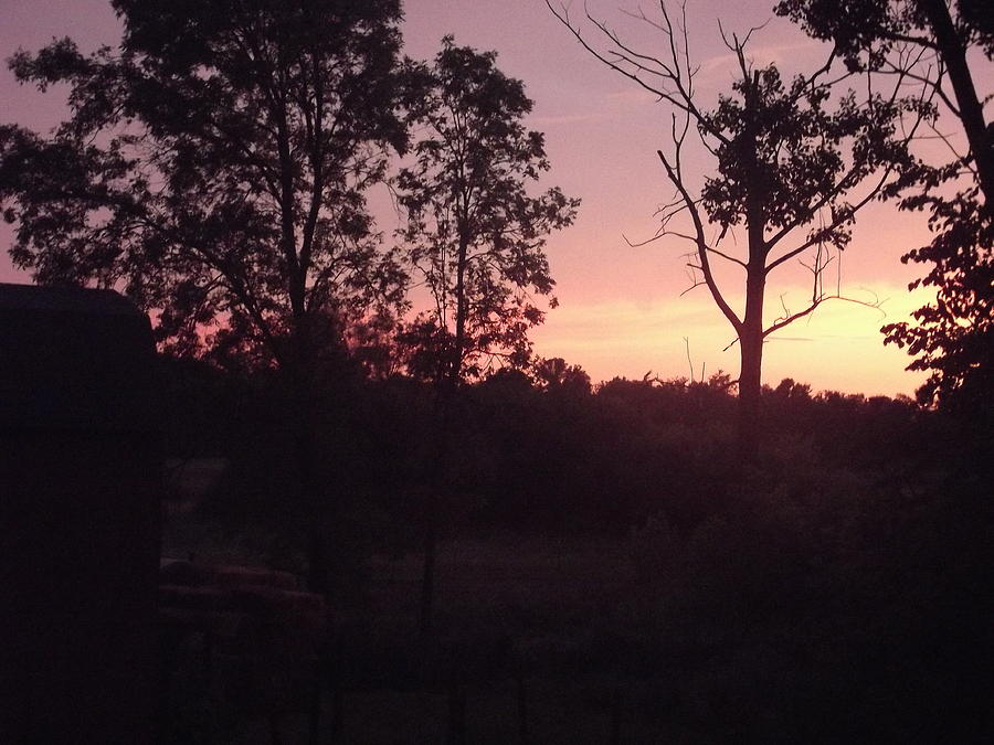 Purple sky after the storm Photograph by Vicki Wagner - Fine Art America