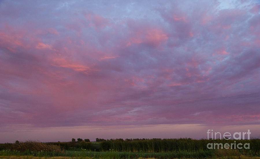 Purple Sky Photograph by Juan Romagosa - Pixels