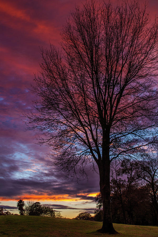 Purple Sky Sunset Photograph By Mike Harlan Fine Art America 6085