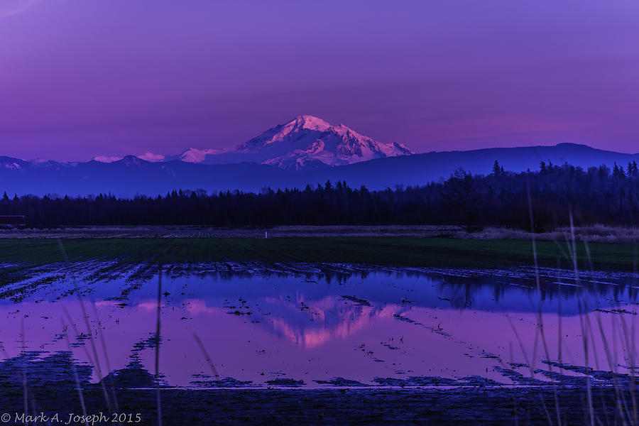 Purple Sky Reflection Photograph by Mark Joseph
