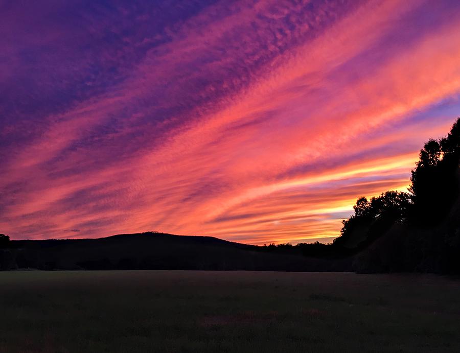 Purple Sky by Sven Kielhorn Purple Sky by Sven Kielhorn