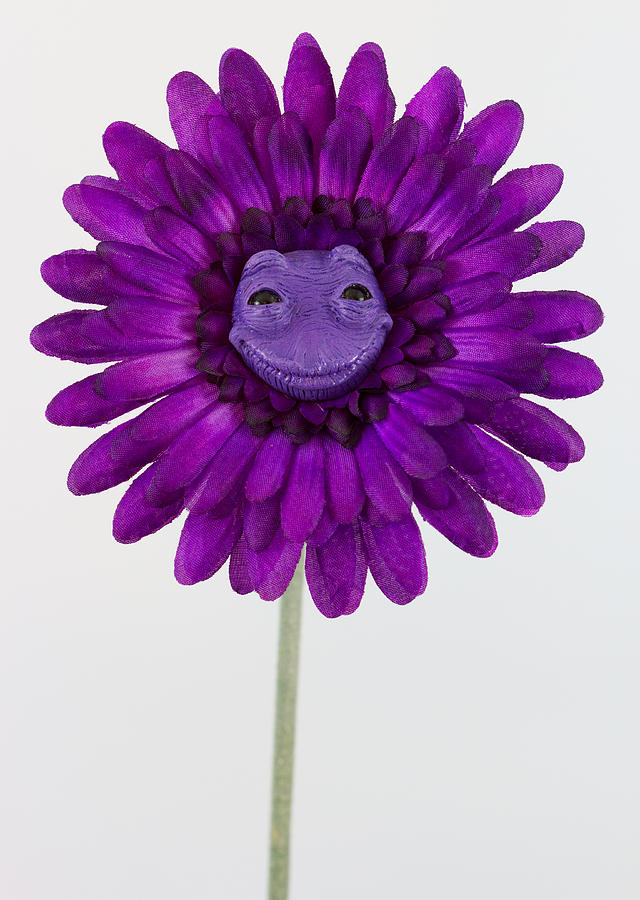 smiley pink and purple flowers