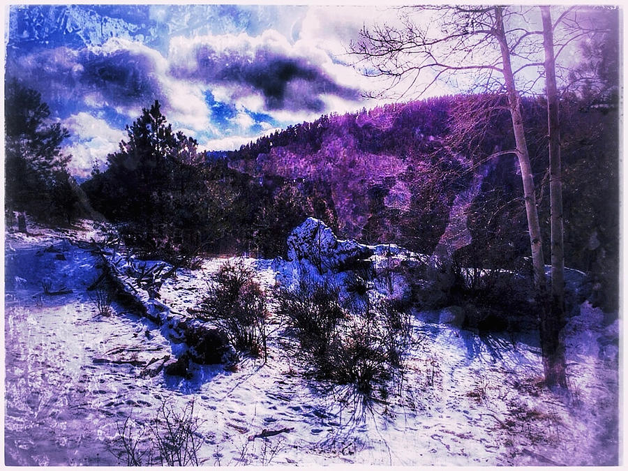 Purple Snow Digital Art by Dan Miller