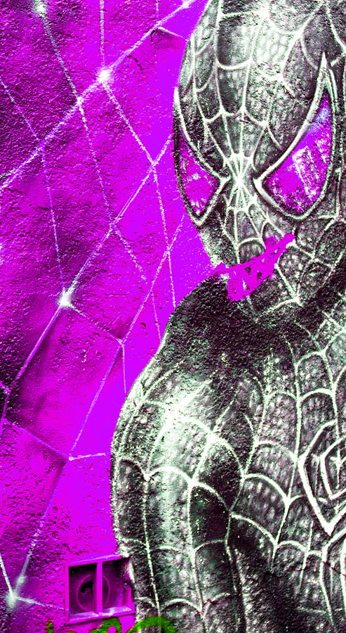 Purple Spider Photograph
