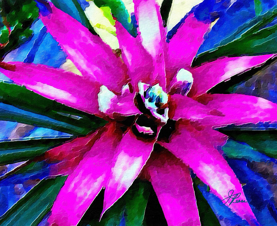 Purple Star Flower close up Photograph by Joan Reese