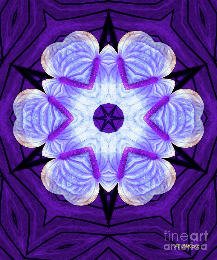 Purple Star Flower Meditation Digital Art by Joseph J Stevens
