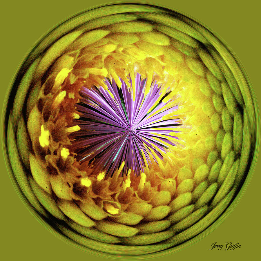Purple Star Digital Art by Jerry Griffin