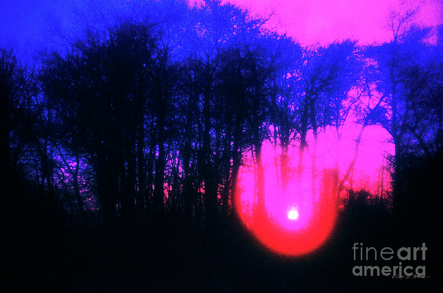 Purple Sunset Photograph by Craig J Satterlee