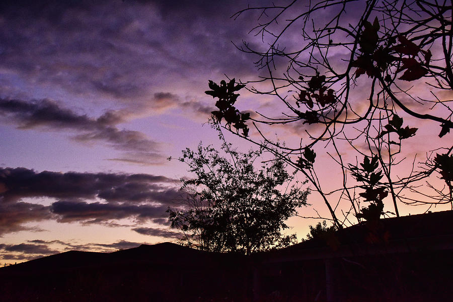 Purple Sunset I  Photograph by Linda Brody