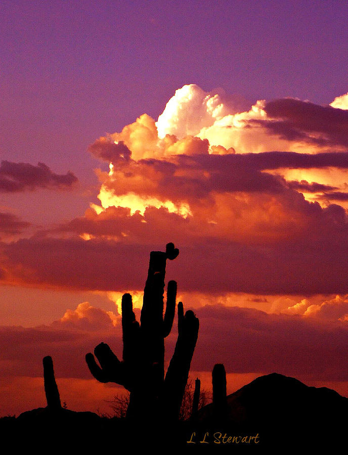 Purple Sunset Photograph by L L Stewart
