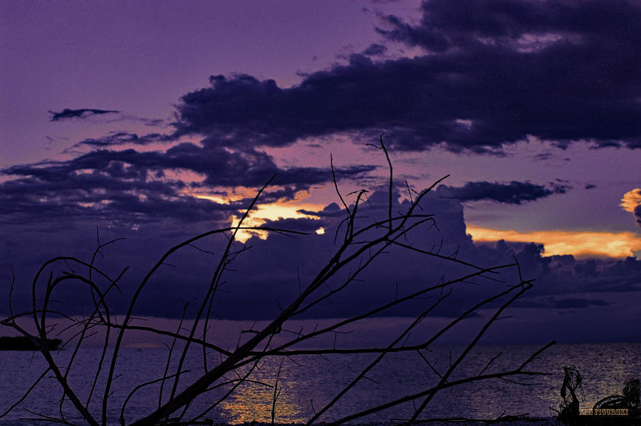 Purple Sunset Lake Okeechobee  Photograph by Ken Figurski