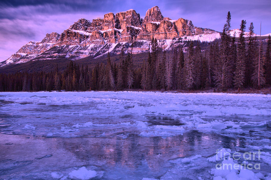 Purple Sunset Reflections Along The Bow River Photograph by Adam Jewell