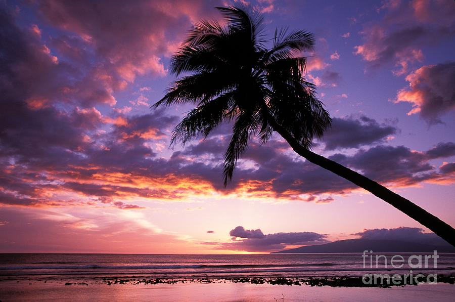 Paradise Photograph - Purple Sunset by Ron Dahlquist - Printscapes