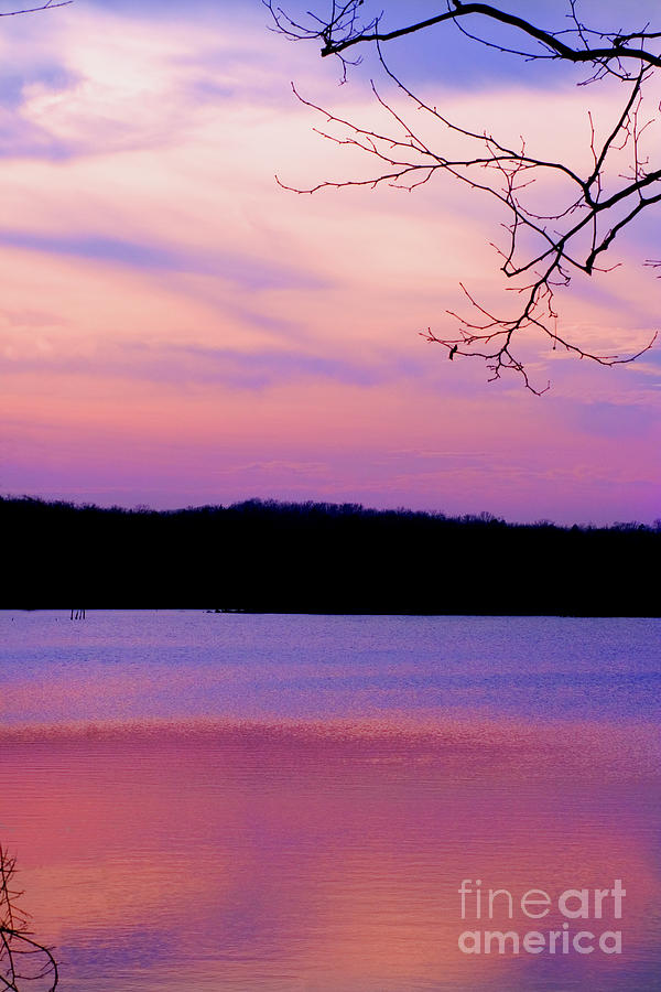 Purple Sunset Photograph by Tim Hightower