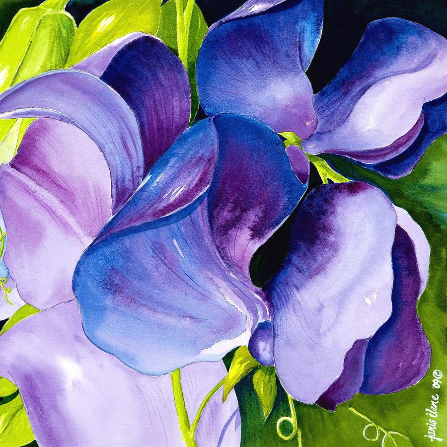 Flower Painting - Purple Sweet Peas by Janis Grau