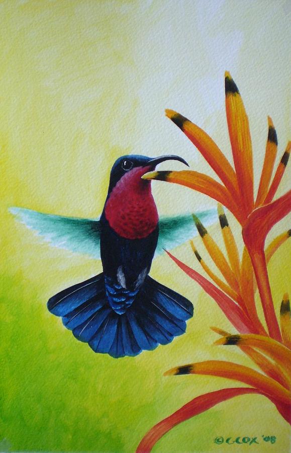 Hummingbird Painting - Purple-throated Carib and Bird of Paradise by Christopher Cox