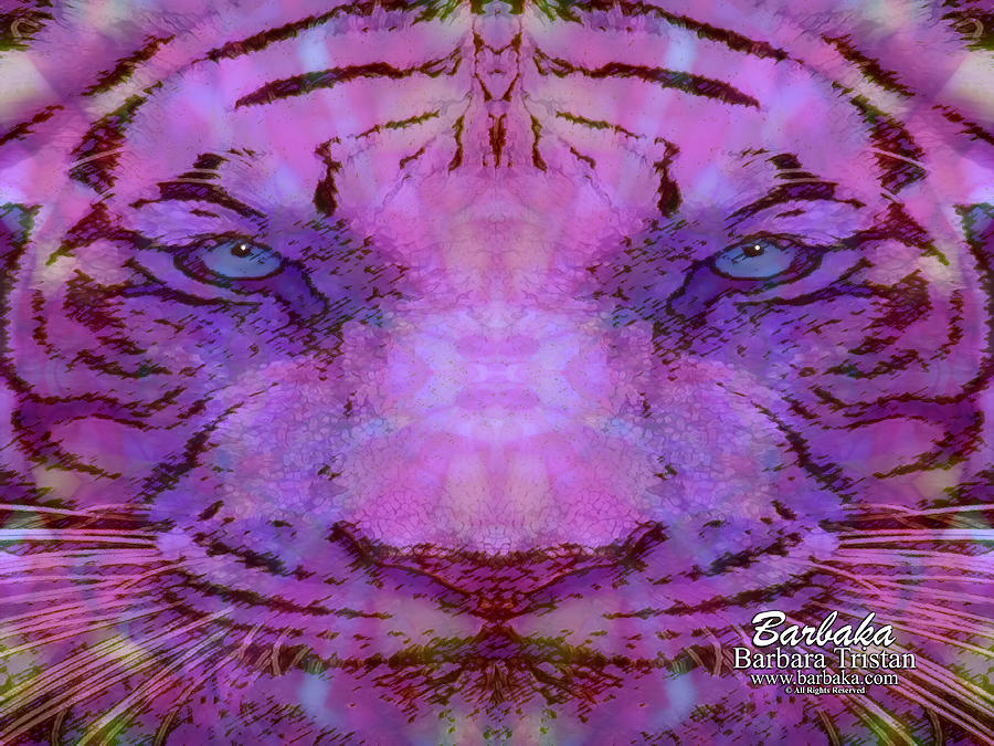 Purple Tiger Photograph by Barbara Tristan
